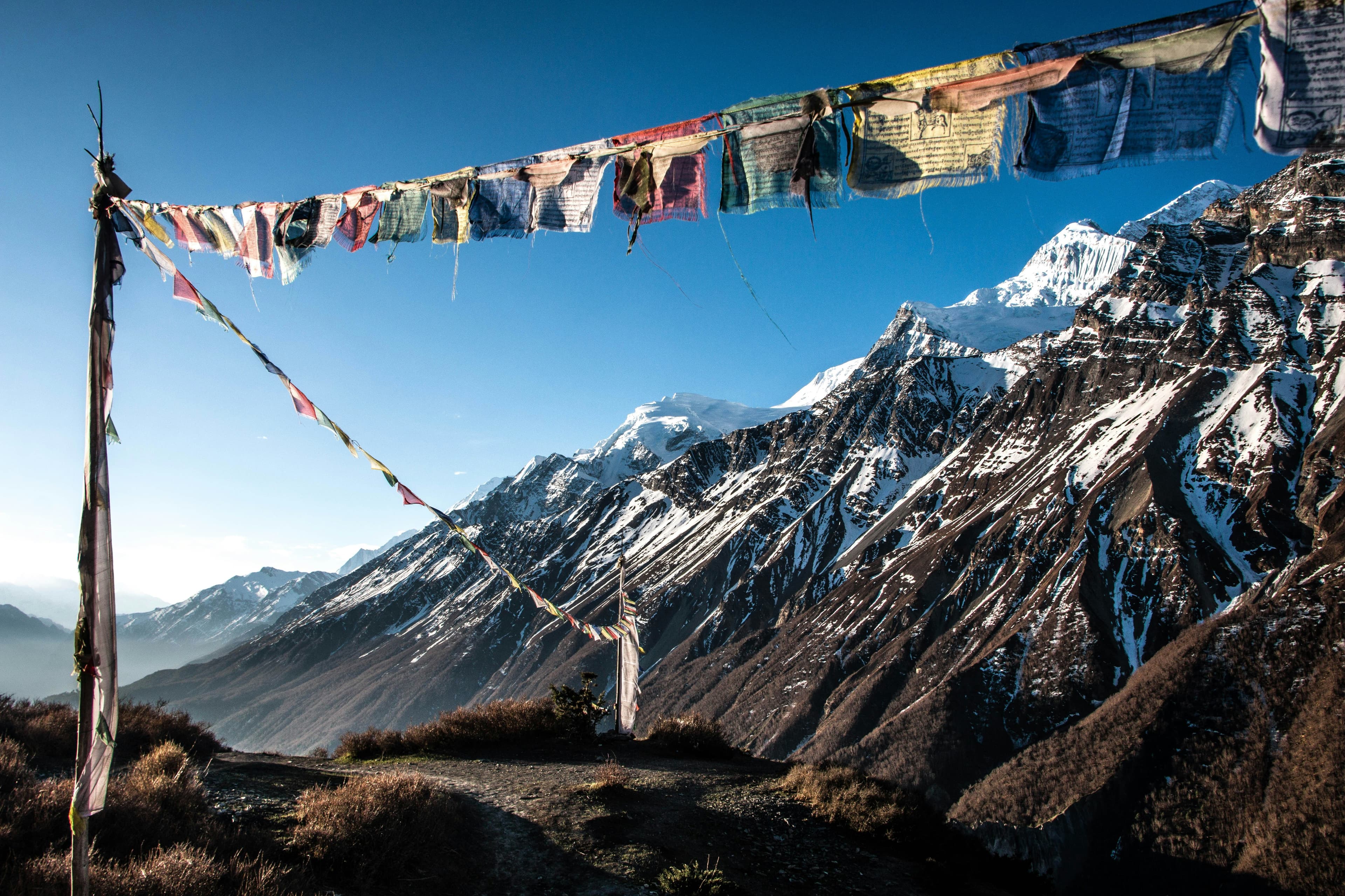 Prayer flags strung across a high ridge trail above the snow-covered Annapurna range
